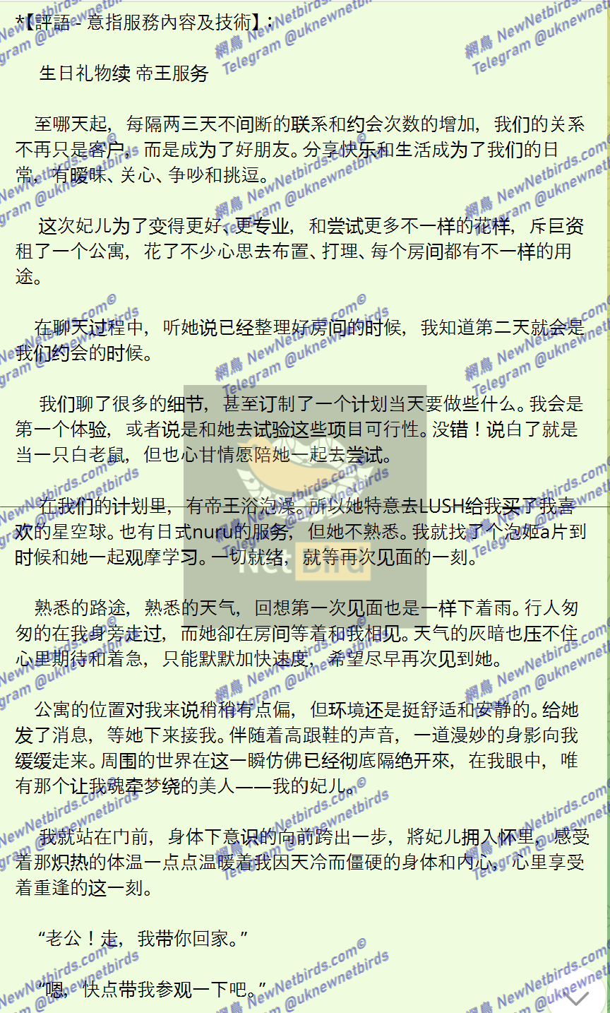 戰號 537 2.png